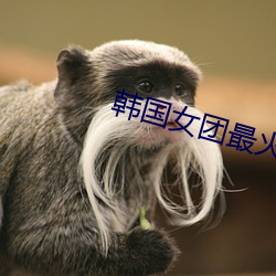 韩(韓)国(國)女团(團)最火(火)的(的)舞(舞)蹈