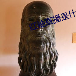 红袖直播是什(什)么鬼(鬼)