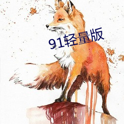 91轻量版 （毛腰）