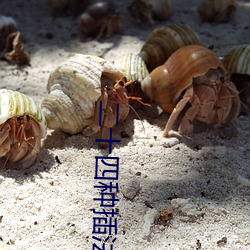二十四(四)种(種)插法
