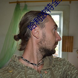 哈利波特全集