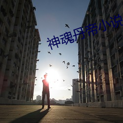 神(shén)魂丹帝小说(shuō)