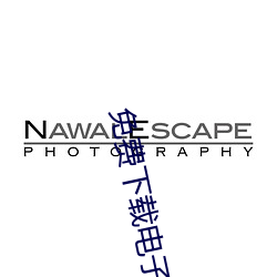 免费下载电子书