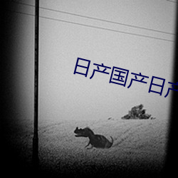 日(日)产(産)国产(産)日产(産)