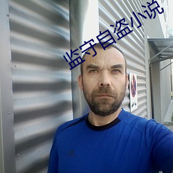 监(jiān)守自盗小说(shuō)