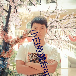 小白兔黃台app