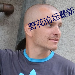 野花论坛(壇)最新(新)