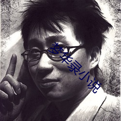 梦华录小(xiǎo)说