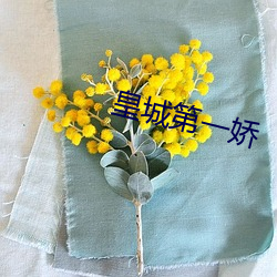 皇(皇)城第一娇