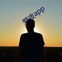 爱夜app