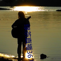 绿(綠)茶(茶)直(直)播367tv
