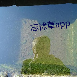 忘怵草app