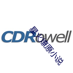 星火燎原小说