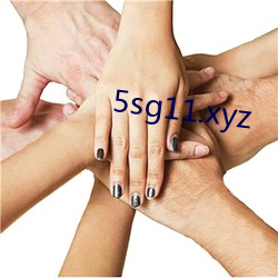 5sg11.xyz