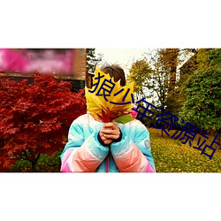 狼少年資源站