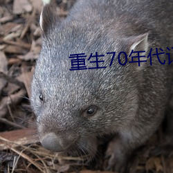 重生70年代记事