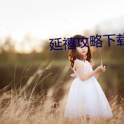延禧攻略下載