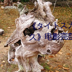 《¥¿イ¥Èス¥«ー¥È女教師 大橋未久》电影完整版(bǎn)