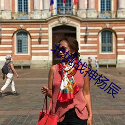 北(běi)境战神杨辰(chn)