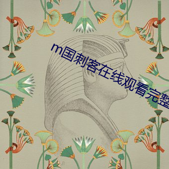 m国刺客在线观看完整版