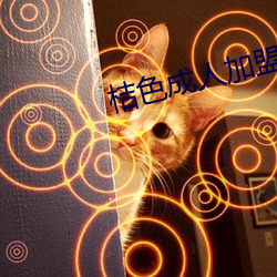 桔(桔)色成人加盟