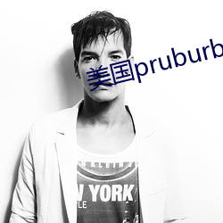 美国pruburb官网怎(怎)么进(進)