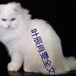 葉辰肖雯全文閱讀