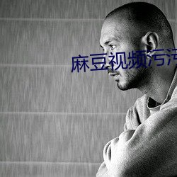 麻豆视频(頻)污污污