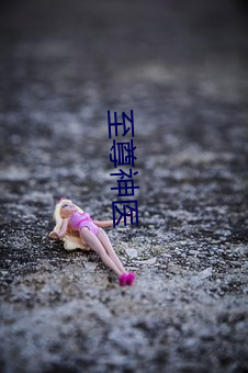 金年会(中国)官方网站