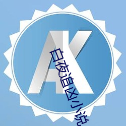 白夜追凶小说
