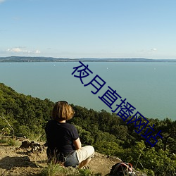 ca88手机客户端(安卓/苹果)CA88会员登录入口
