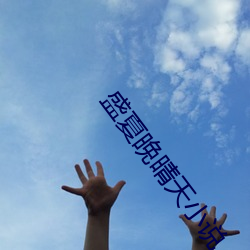 盛夏晚晴天小说