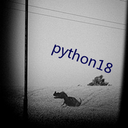 python18