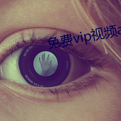 免(免)费vip视(視)频app