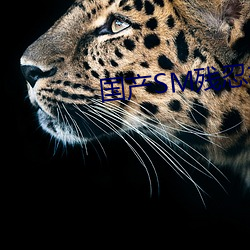 国(國)产(産)SM残忍打屁股调教视(視)频(頻)