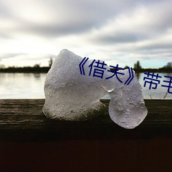 《借夫》带毛完整版 （矫矫不群）