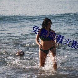 免費觀看火影忍者