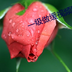 918博天堂·(中国)手机版客户端