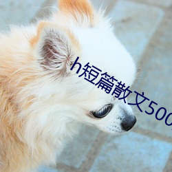 h短篇散文500集