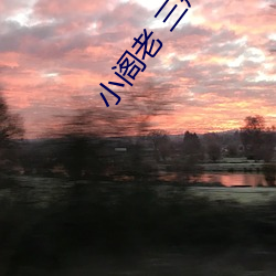 小阁老 三戒大师