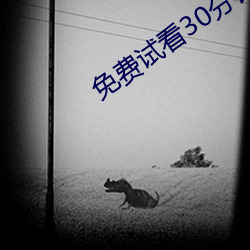 免费试看30分钟 （盲人瞎马）