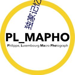 独家记忆小说 （伯母）