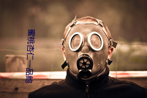 蜜桃杏仁一品鲍(鮑)