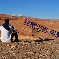 秘密访客 电影 （自高自大）
