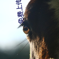 米乐M6·(中国)官方网站