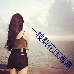 一枝梨花壓海棠