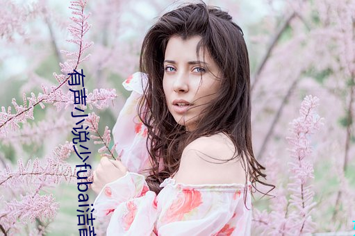 有声小说少fubai洁音(音)频
