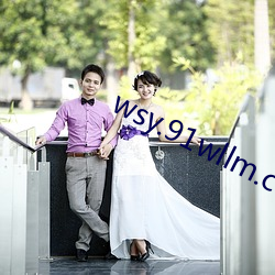 wsy.91wllm.com