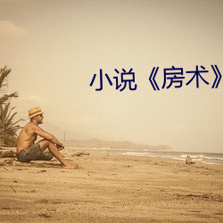 小说房术》
