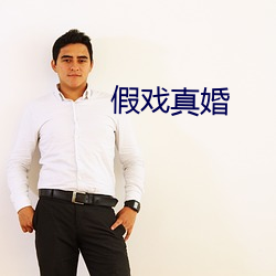 假(假)戏真婚